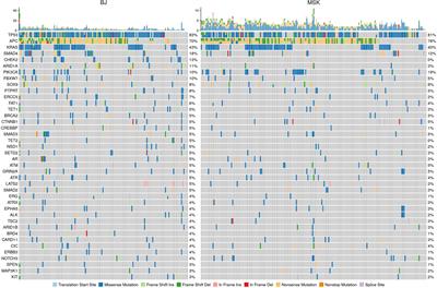 Mutated DNA Damage Repair Pathways Are Prognostic and Chemosensitivity Markers for Resected Colorectal Cancer Liver Metastases